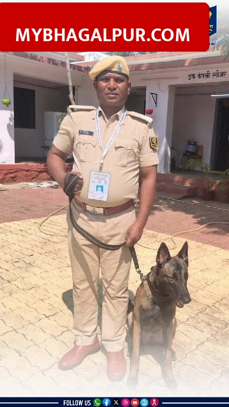 Bihar Police की डॉग लिली ने नागपुर में जीता गोल्ड मेडल, ऑल इंडिया पुलिस ड्यूटी मीट में रचा इतिहास