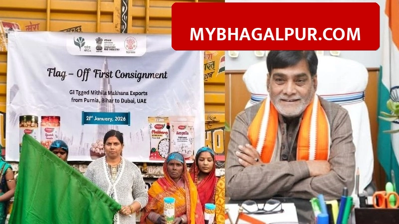 बिहार मखाना बना ग्लोबल ब्रांड: अब चीन और दुबई तक पहुँचा, किसानों की आय में भारी उछाल