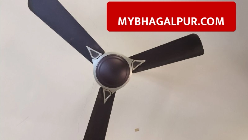 भागलपुर और पटना में फरवरी से ही AC चलाने की नौबत, मौसम विभाग ने दी भीषण गर्मी की चेतावनी