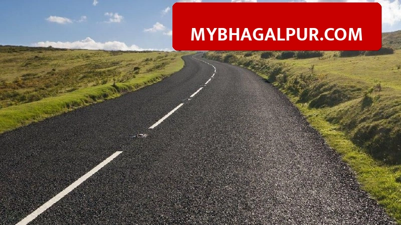 Bihar Govt New Plan: अब कचरे से बनी सड़क पर दौड़ेगी गाड़ियां, सभी 38 जिलों में लागू होगा ये नया मॉडल