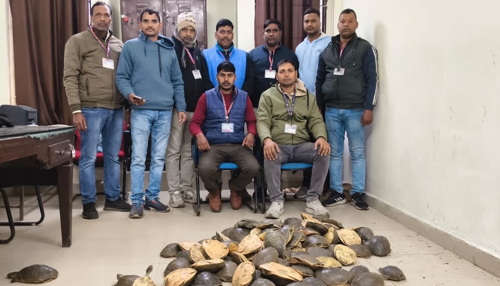बिहार के गया में रेल सुरक्षा बल ने 102 कछुओं के साथ वन्यजीव तस्करी का मामला पकड़ा, 51 लाख की कीमत।