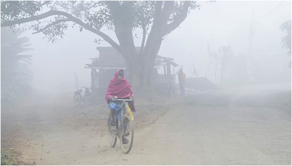 बिहार में कड़ाके की ठंड, पटना समेत 10 जिलों में घना कोहरा; तापमान 8°C तक गिरा