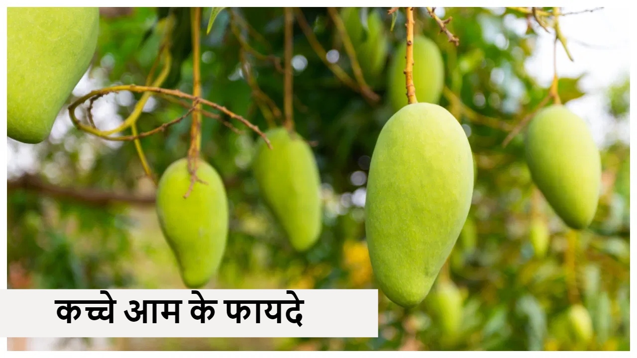 Kacche Aam ke Fayde: कच्चा आम है गर्मियों में गुणों की खान, जानिये कैसे ?