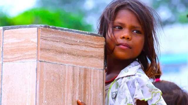 भगतलपुर में 'आलय' ने मनाया वर्ल्ड फोटोग्राफी डे, कैमरों में कैद हुई शहर की खूबसूरती