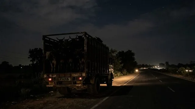 भागलपुर में मवेशी लदा वाहन पुलिस हिरासत से भागा, एएसआई निलंबित