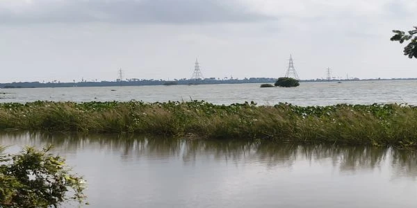 भागलपुर में बाढ़ का बड़ा खतरा, खेतों में घुसा पानी