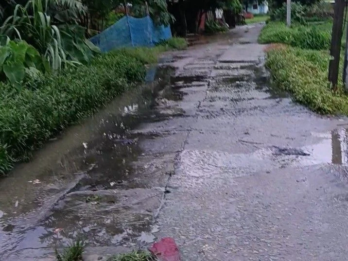 देवरिया में खराब नाले से फसल बर्बाद और बीमारी का खतरा