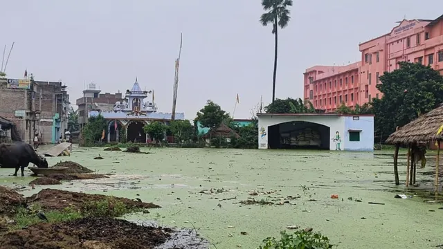 भागलपुर में गंगा का पानी खतरे के निशान से ऊपर, जानिए क्या है हाल