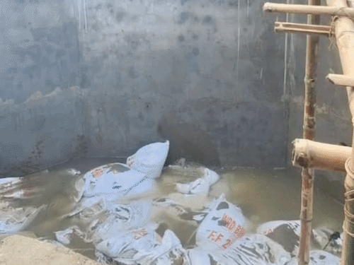 भागलपुर में गंगा नदी का बढ़ा दबाव, स्लुइस गेट से पानी लीक होने से मची खलबली