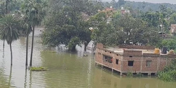 नाथनगर में बाढ़ का तांडव, स्कूल डूबे और टूटा संपर्क