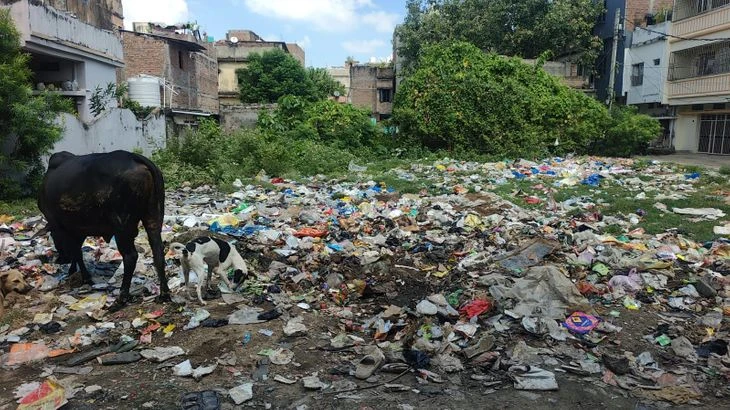 भागलपुर में कचरा संकट गहराया, जानिए क्यों लग रहे हैं गंदगी के ढेर