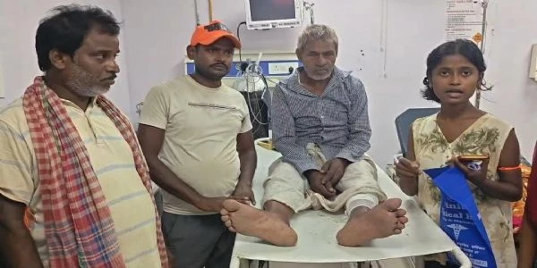 नाथनगर में लंगूरों का खौफनाक आतंक, आधे दर्जन से अधिक लोग घायल